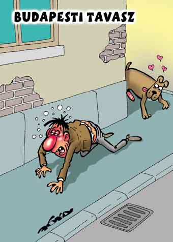 Társaink a kutyák és a lovak